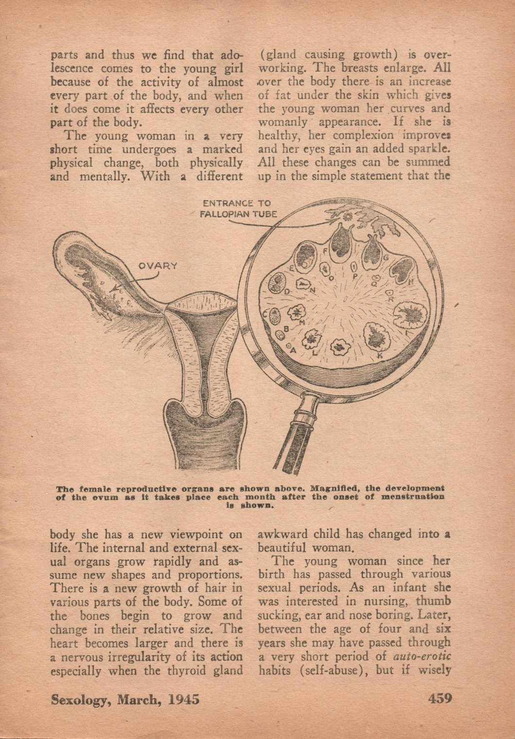 Sexology March 1945 D.D. Teoli Jr. A.C. (13)