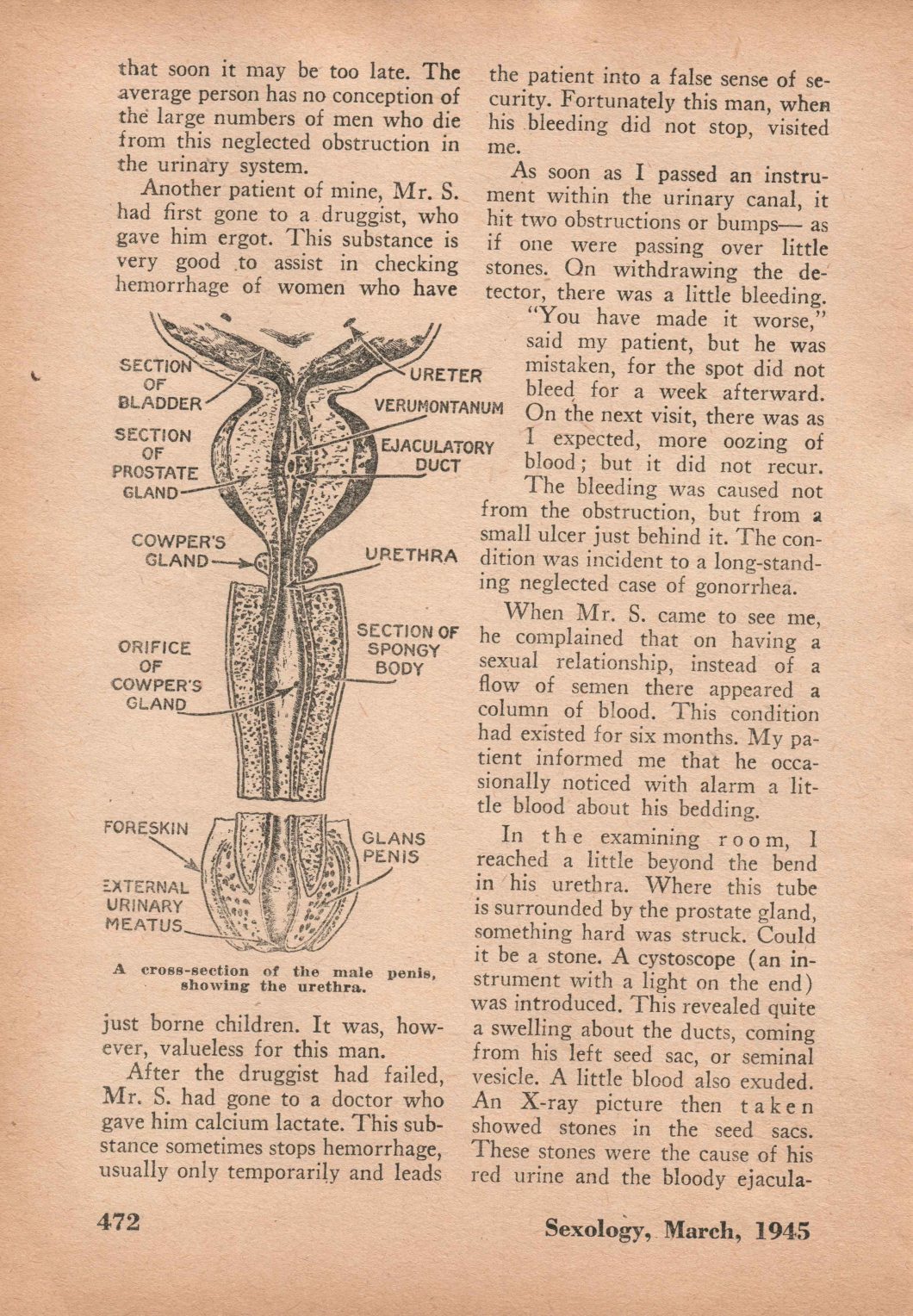 Sexology March 1945 D.D. Teoli Jr. A.C. (26)